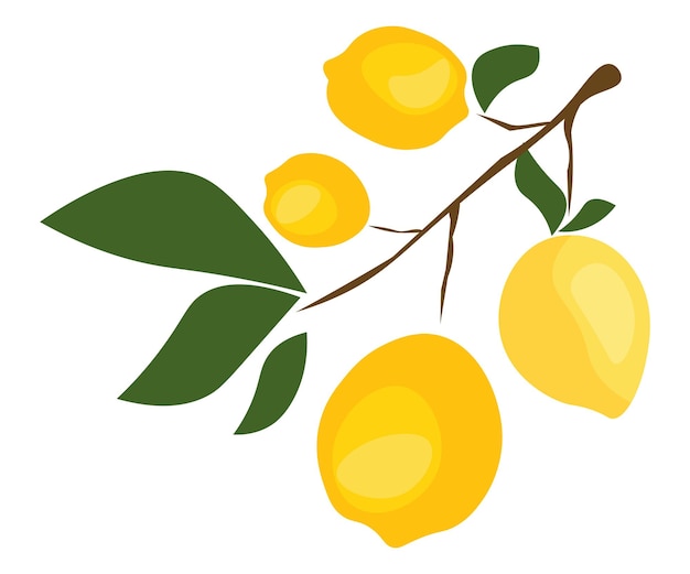 Limones