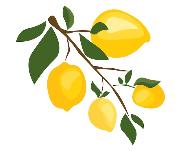 Limones