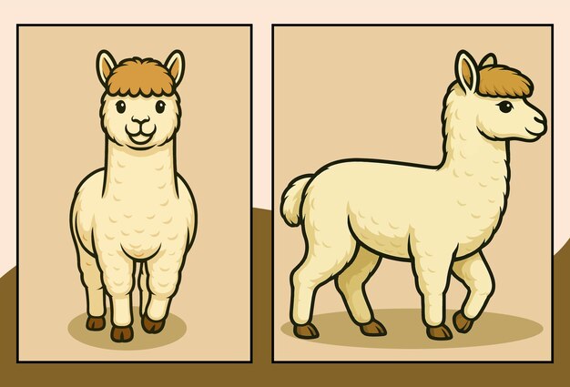 La linda alpaca de dibujos animados en dos poses