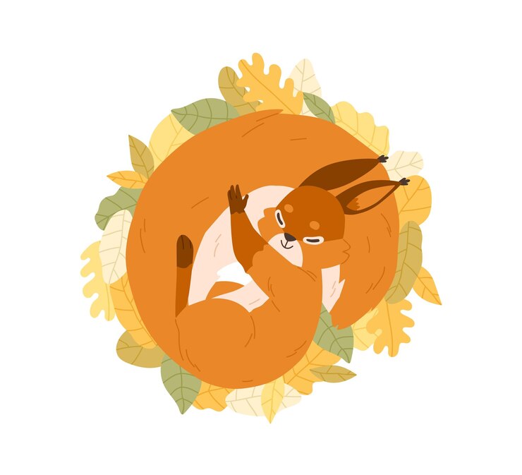 Vector linda ardilla feliz durmiendo en hojas de otoño. dulce adorable animal relajado descansando acurrucado y cubierto con cola esponjosa. ilustración de vector plano coloreado aislado sobre fondo blanco.