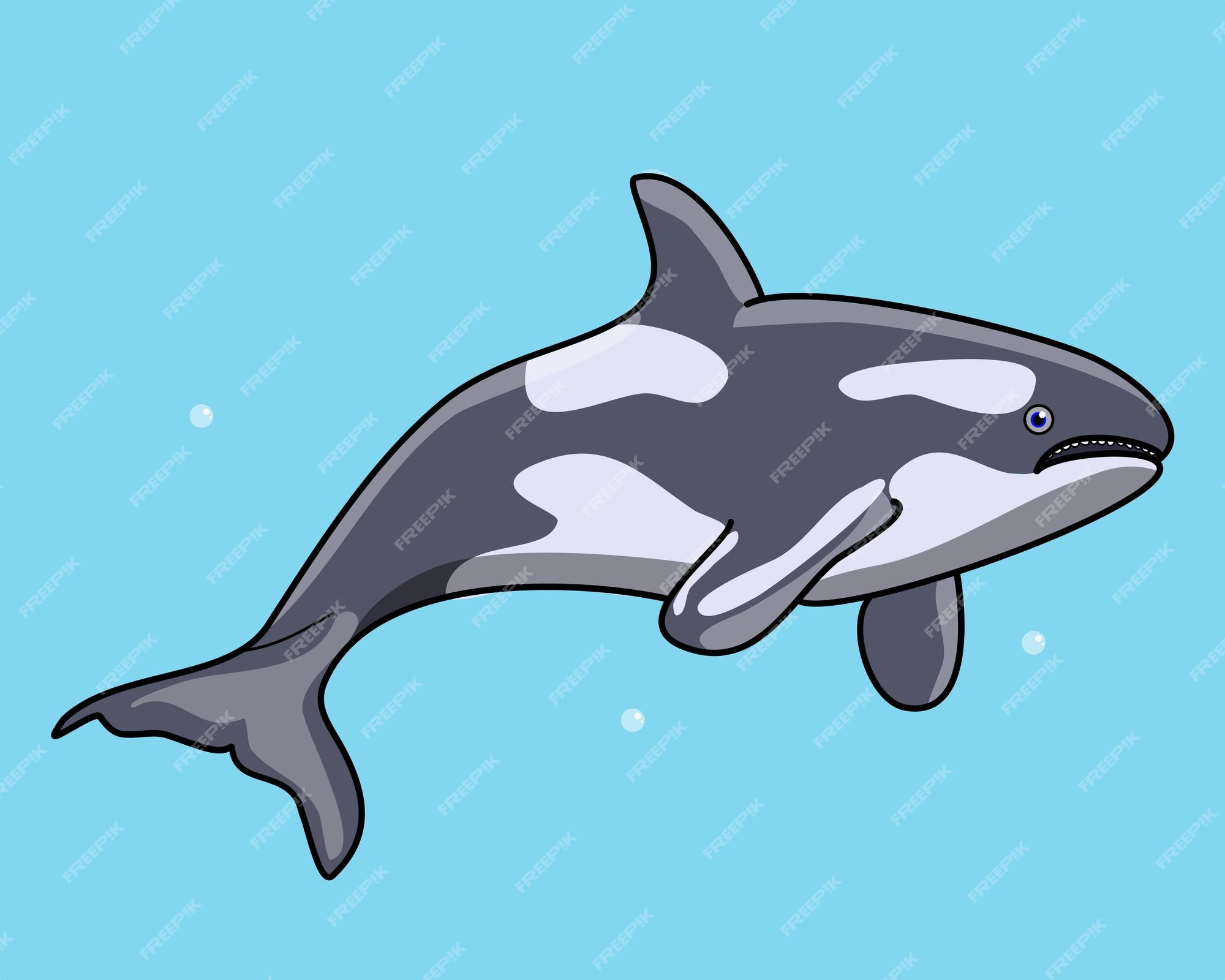 Una linda ballena orca en diseño de ilustración vectorial para niños en  estilo de dibujos animados | Vector Premium