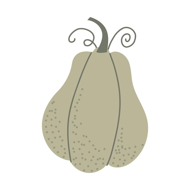 Linda calabaza vectorial vegetal útil de otoño Ilustración plana con fondo aislado blanco