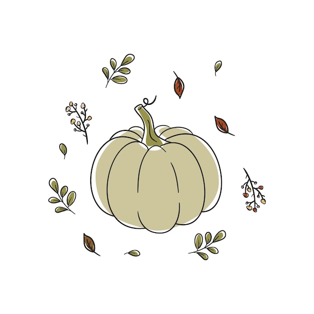 Una linda calabaza verde pastel y ramitas de plantas estilo garabato