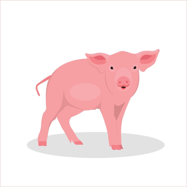 Vector una linda caricatura de cerdo rosa con vector ilustrador de fondo blanco