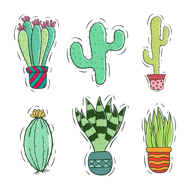 Vector linda colección de cactus con estilo colorido.