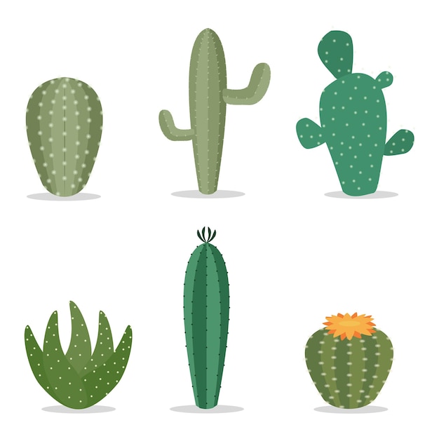 Linda colección de cactus planos