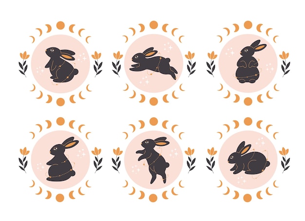 Linda colección de conejos negros con elementos astrológicos, botánicos y esotéricos. Conejo mago.