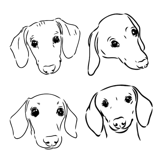 Linda colección de garabatos de perro salchicha en diferentes poses en estilo de ilustración de dibujo a mano alzada