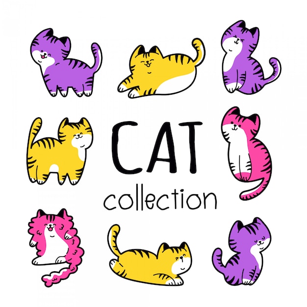 Linda colección de gatos