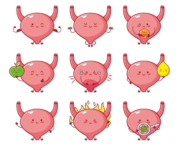 Linda y divertida colección de personajes de dibujos animados de órganos de vejiga humana. Kawaii de dibujos animados de línea vectorial
