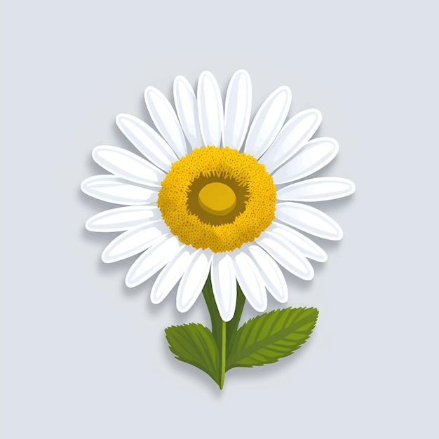 Linda flor de manzanilla margarita blanca ilustración vectorial