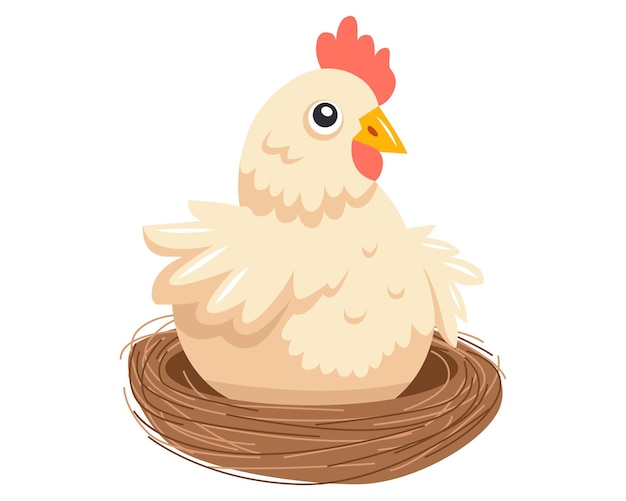 Una linda gallina blanca se sienta en un nido y espera a que los pollitos incuben huevos de pájaro