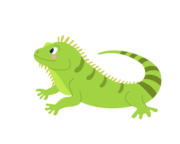 Linda iguana divertida sobre fondo blanco Imagen vectorial en estilo plano de dibujos animados Decoración para niños039s