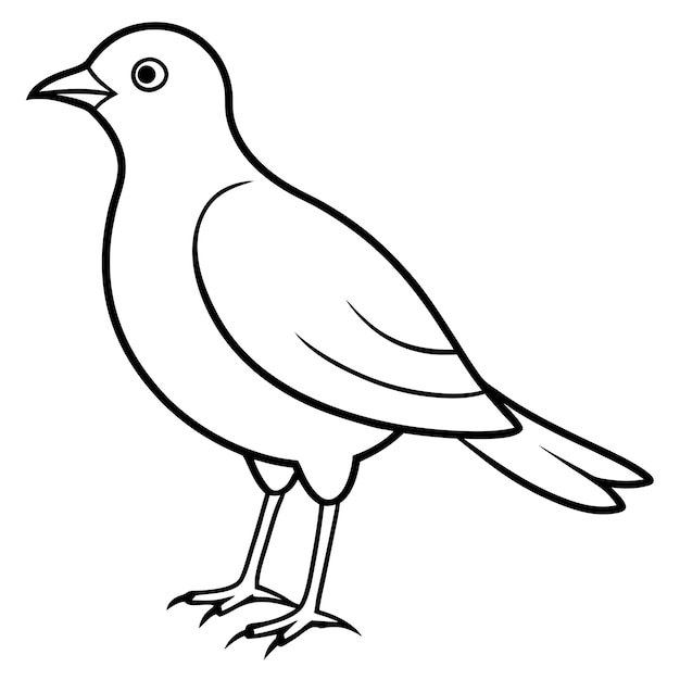 Una linda ilustración de arte vectorial de pájaros