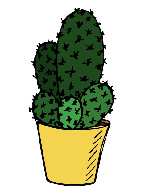 Linda ilustración de cactus dibujada a mano Planta de interior en una maceta clipart Cozy home doodle
