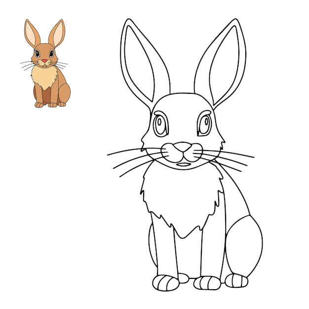 Linda liebre para colorear libro Lindo conejito o conejo como página para colorear para educación infantil Vector