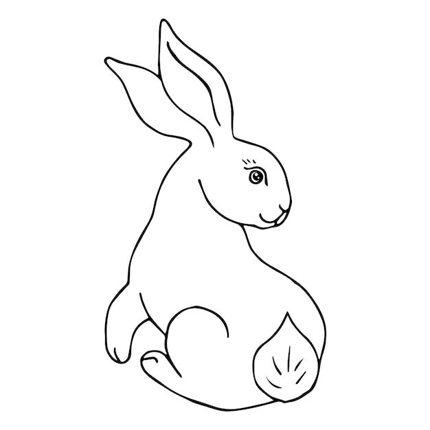 Linda liebre conejo dibujo vector ilustración contorno negro