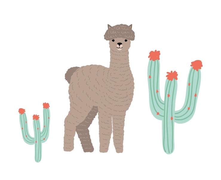Vector linda llama o cria aislado en blanco