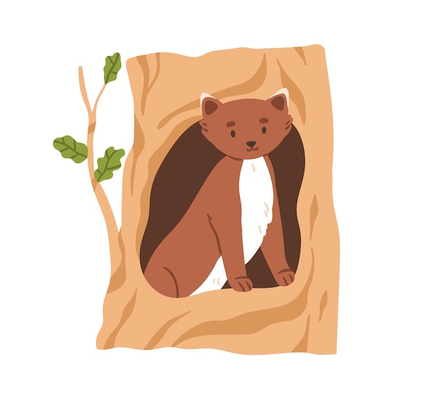 Linda marta dentro del hueco del árbol. Animal del bosque mirando, asomándose por la casa del agujero en el bosque. Preciosa comadreja en casa de acogida en el maletero. Ilustración de vector plano aislado sobre fondo blanco