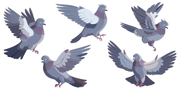 Linda paloma gris en diferentes poses estilo de diseño plano con formas simples y colores sólidos sin sombras en fondo blanco
