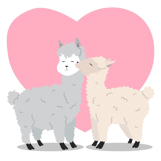 Linda pareja de alpacas