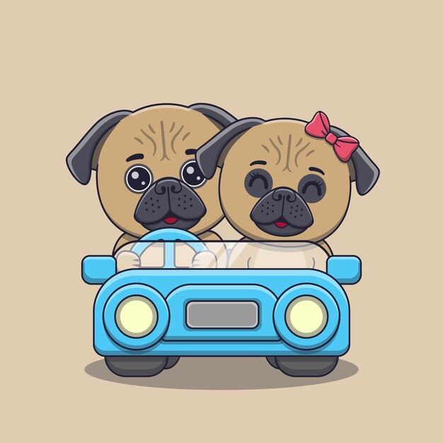 Linda pareja de perros pug del día de San Valentín en el coche