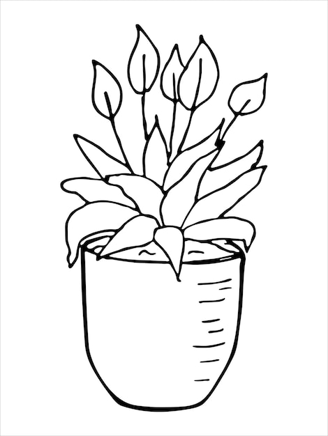 Linda planta de interior dibujada a mano en una maceta clipart Ilustración de planta Cozy home doodle