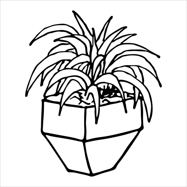 Linda planta de interior dibujada a mano en una maceta clipart Ilustración de planta Cozy home doodle