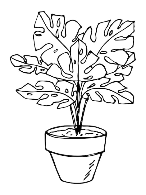 Linda planta de interior dibujada a mano en una maceta clipart Ilustración de planta Cozy home doodle