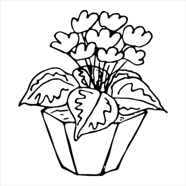 Linda planta de interior dibujada a mano en una maceta clipart Ilustración de planta Cozy home doodle