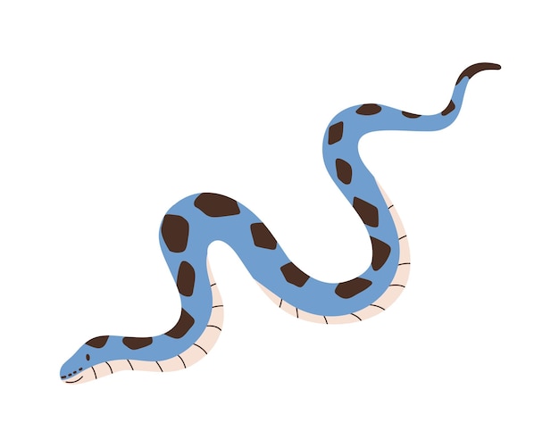 Linda serpiente arrastrándose aislada sobre fondo blanco. Carácter de reptil de niños divertidos. Pitón sonriente de color azul con manchas negras. Ilustración de vector plano colorido infantil.