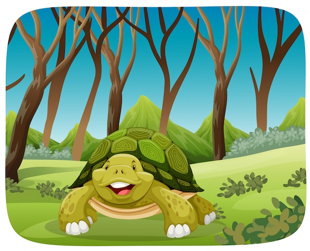 Linda tortuga en el bosque