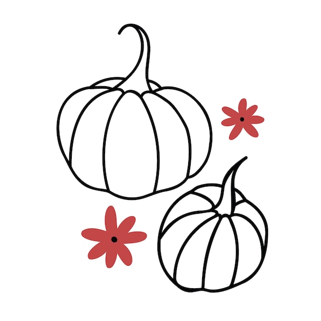 Lindas calabazas en estilo garabato vector floral otoño clipart ilustración dibujada a mano