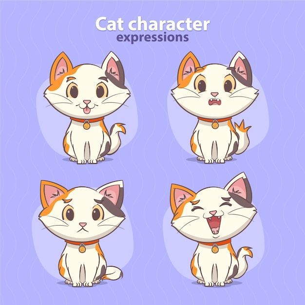 Lindas expresiones de gato