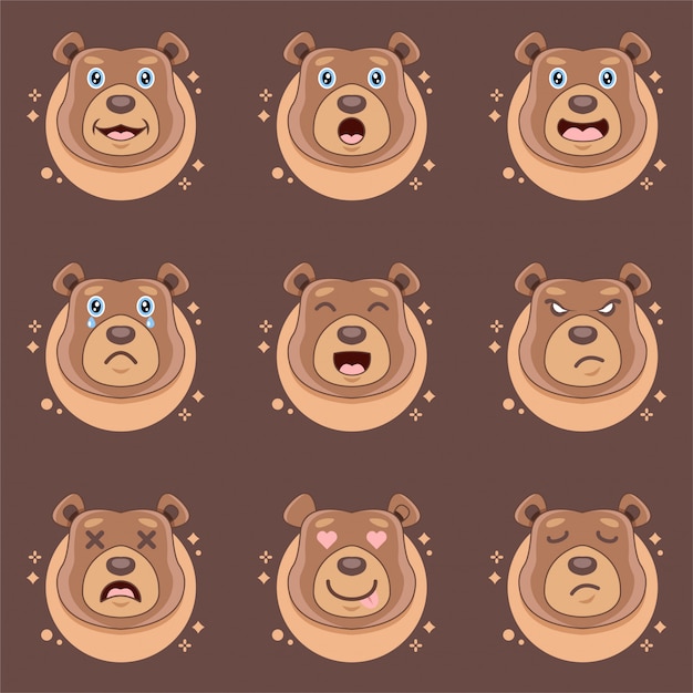 Lindas expresiones de oso