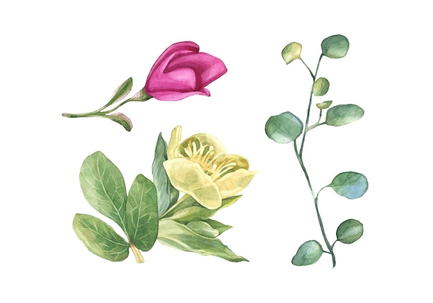 Lindas flores de color verde rosa y amarillo en formato vectorial