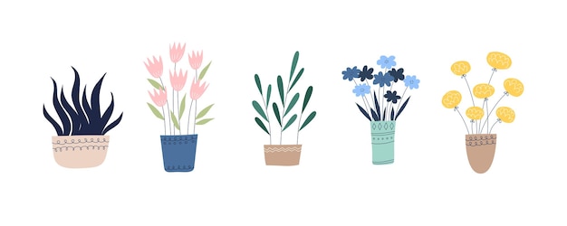 Lindas flores de plantas en hermosos jarrones Fondo blanco Varias flores aisladas y maceta de jarrón