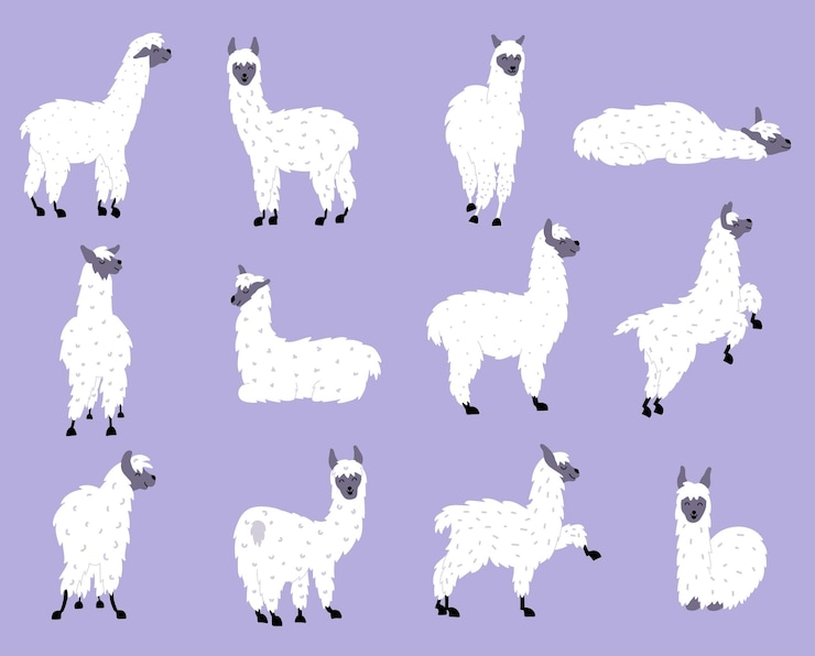 Vector con lindas llamas. vector de llama de bebé de dibujos animados de contorno aislado. guanaco, alpaca, vicuña.