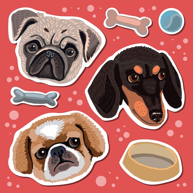 Lindas pegatinas de perros dachshund pequinés y pug dibujo al estilo de los niños