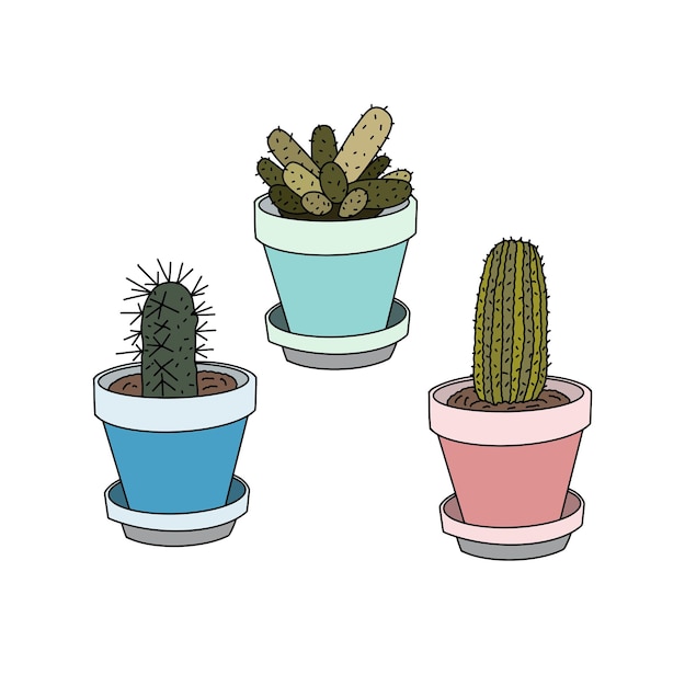 Lindas plantas de cactus con ilustraciones de jardineras.