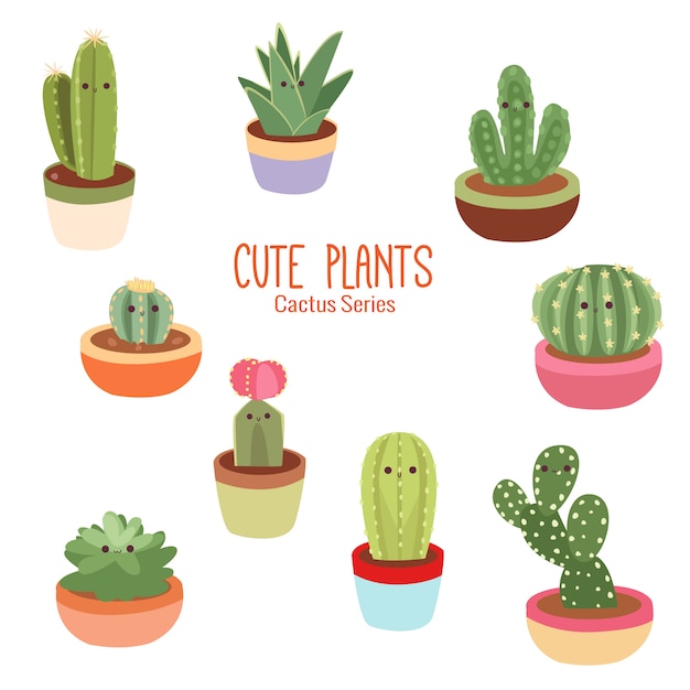 Lindas plantas de cactus tropical