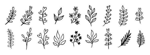 Linde hoja moderna dibujado a mano icono conjunto de contorno dibujo línea clipart símbolo colección vector