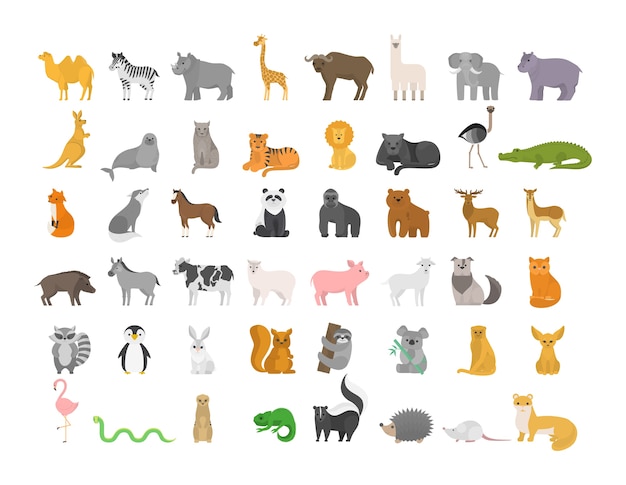 Lindo animal con carácter de granja y salvaje. Gato y león, elefante y mono. Colección Zoo. Ilustración de vector plano aislado