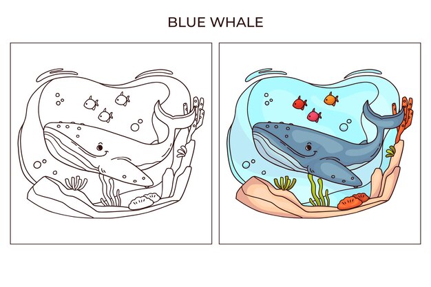 Lindo animal marino dibujado a mano para colorear página Ballena azul