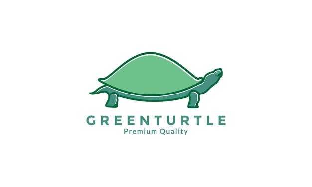 Lindo animal tortuga línea colorido logotipo símbolo icono vector diseño gráfico