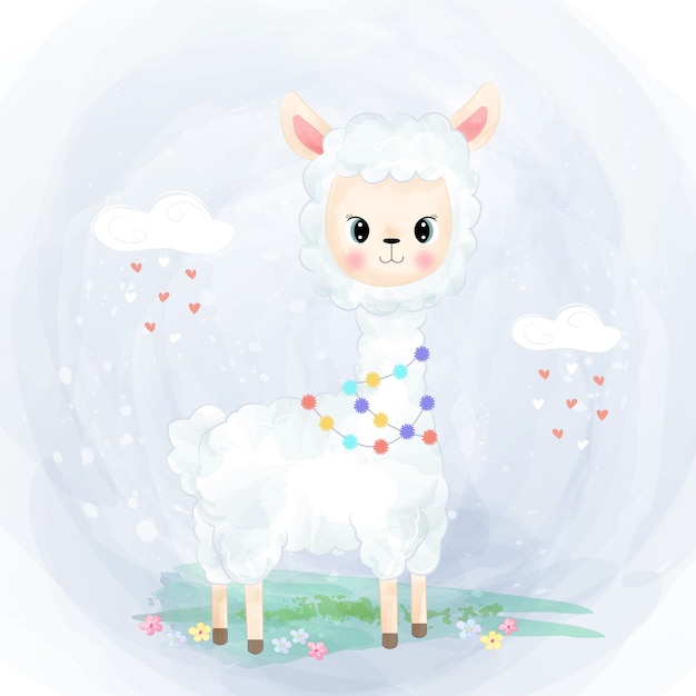 Lindo bebé alpaca