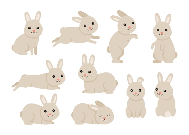 Lindo bebé conejo o mascota liebre para Pascua en diferentes poses Animal conejito en estilo de dibujos animados
