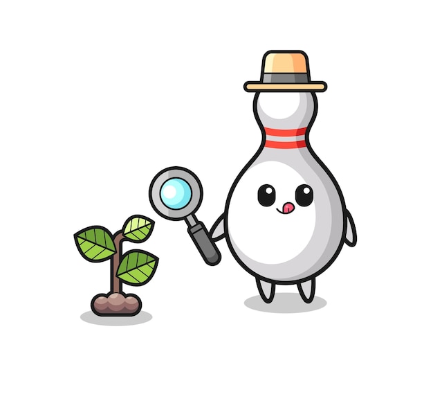 lindo bolo herbolario investigando plantas