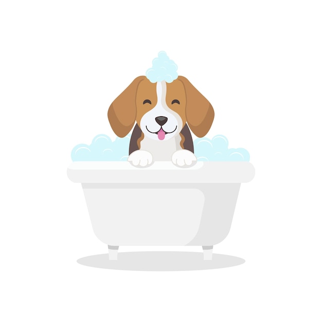 Lindo cachorro beagle en el baño Perro divertido pompas de jabón