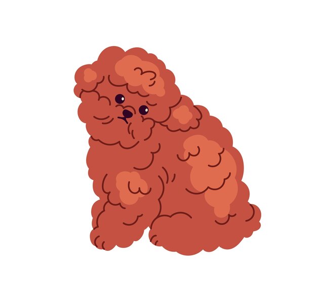 Lindo cachorro esponjoso de la raza Toy Poodle en miniatura Cachorro pequeño y dulce con pelo rizado mini peludo cachorro canino animal vector plano aislado sobre fondo blanco